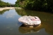 The Historic Round Rock of Round Rock, Texas