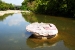 The Historic Round Rock of Round Rock, Texas